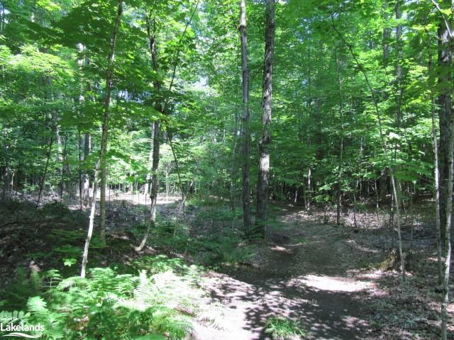 Photo 7 of 1283 Bay Lake Road, Perry — HOMEH