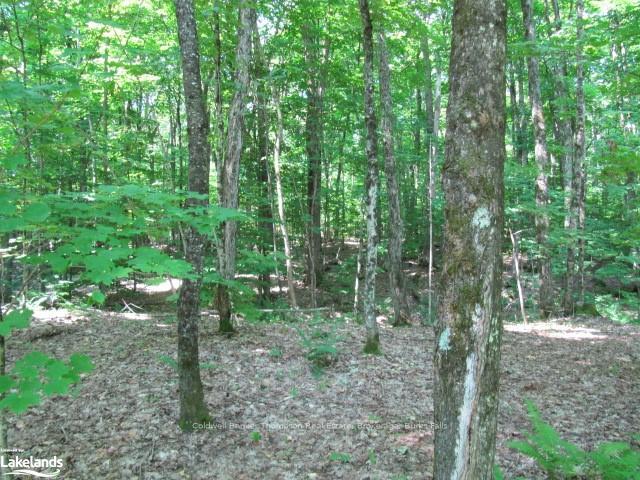 Photo 22 of 1283 Bay Lake Road, Perry — HOMEH
