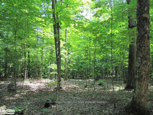 Photo 23 of 1283 Bay Lake Road, Perry — HOMEH