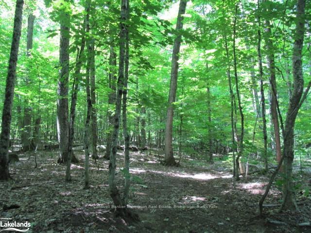 Photo 24 of 1283 Bay Lake Road, Perry — HOMEH