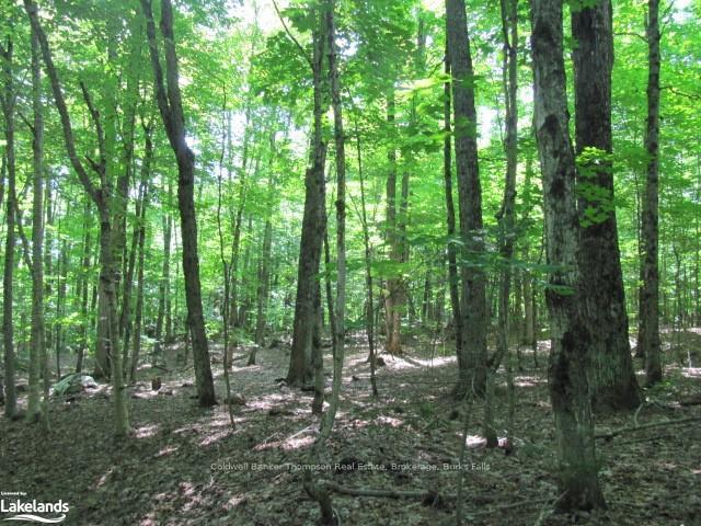 Photo 25 of 1283 Bay Lake Road, Perry — HOMEH