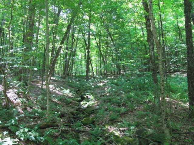 Photo 26 of 1283 Bay Lake Road, Perry — HOMEH