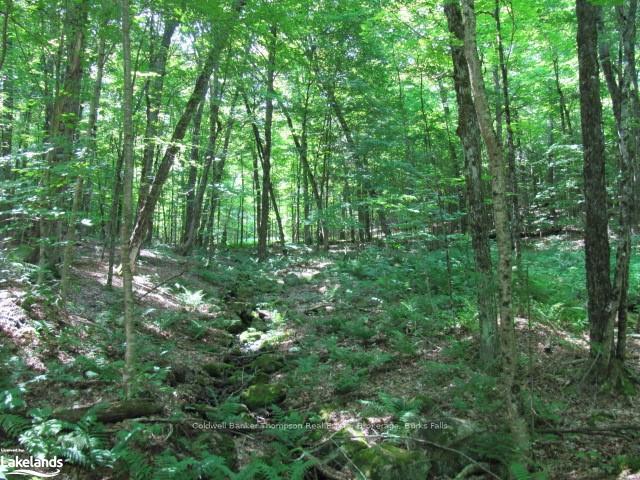 Photo 27 of 1283 Bay Lake Road, Perry — HOMEH