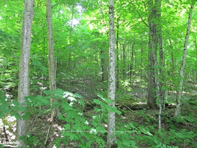 Photo 28 of 1283 Bay Lake Road, Perry — HOMEH