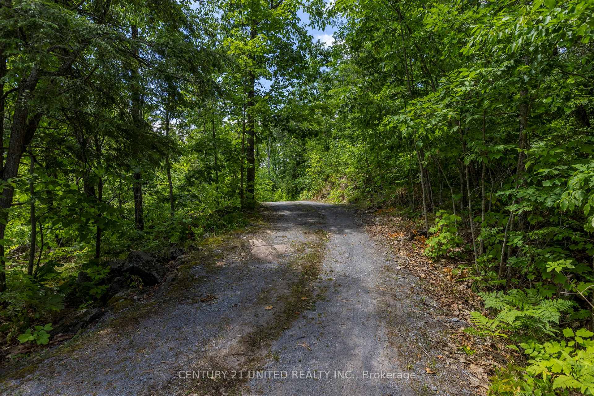 Photo 5 of 65 Fire Route 8, North Kawartha — HOMEH