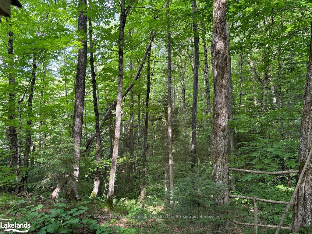Photo 8 of So Ho Mish Road, Perry — HOMEH