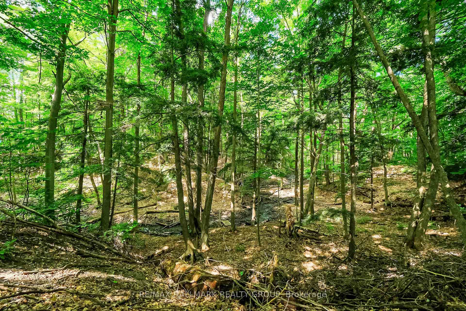 Photo 48 of 6203 Beausejour Drive, Ottawa, Chapel Hill — HOMEH