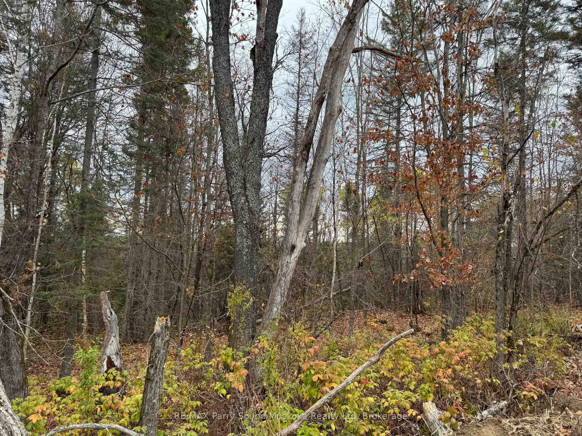 Photo 3 of 0-2 Bennett Road, Parry Sound Remote Area, Pringle — HOMEH