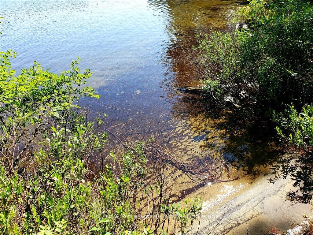 Photo 30 of Lot 34 Bucktooth Island, Perry — HOMEH