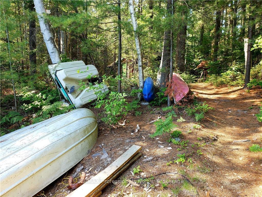 Photo 31 of Lot 34 Bucktooth Island, Perry — HOMEH