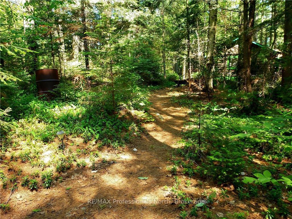 Photo 36 of Lot 34 Bucktooth Island, Perry — HOMEH