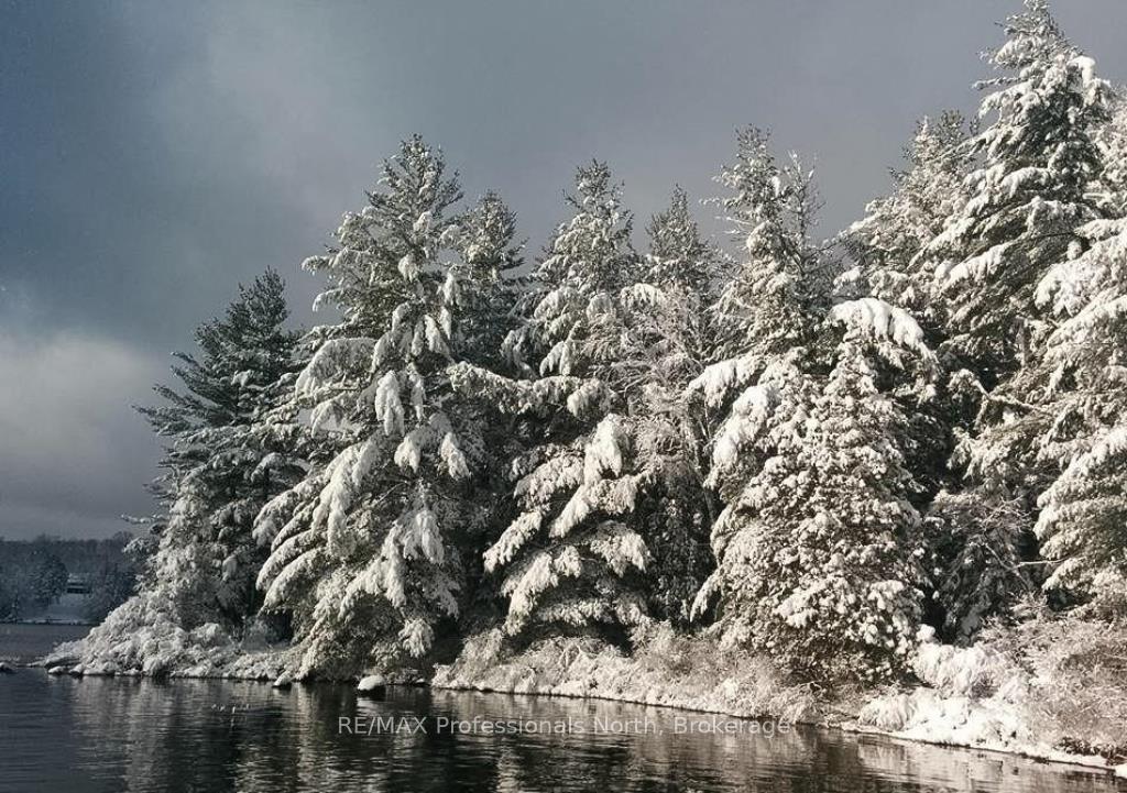 Photo 38 of Lot 34 Bucktooth Island, Perry — HOMEH