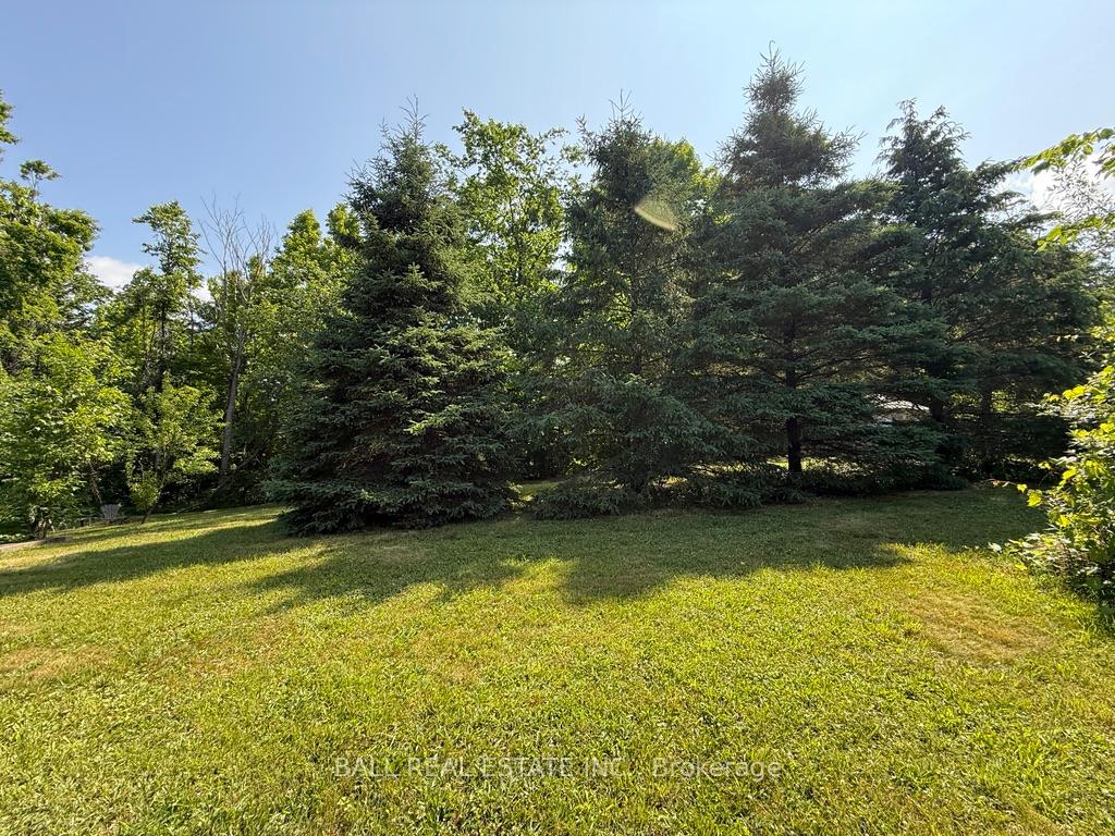 Photo 34 of 255 Northey's Bay Road, North Kawartha — HOMEH
