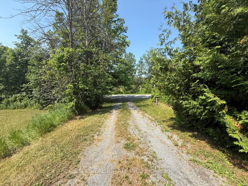 Photo 41 of 255 Northey's Bay Road, North Kawartha — HOMEH