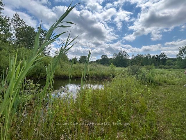 Photo 30 of 387 Poth Street, Pelham, Fenwick — HOMEH