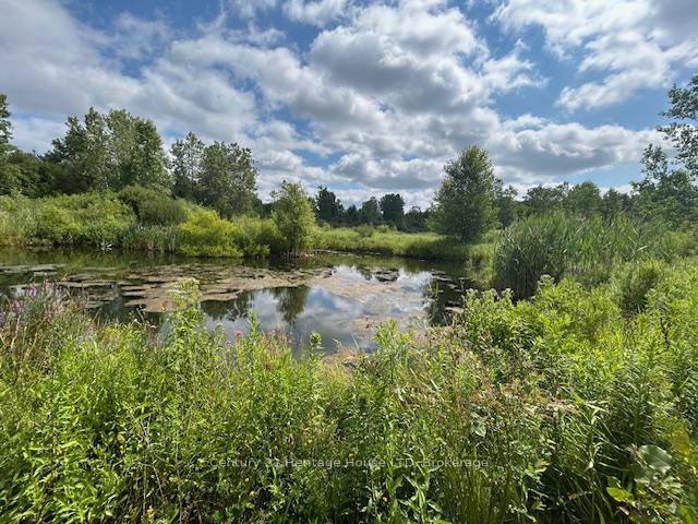 Photo 31 of 387 Poth Street, Pelham, Fenwick — HOMEH