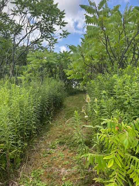 Photo 32 of 387 Poth Street, Pelham, Fenwick — HOMEH