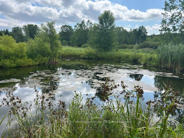 Photo 33 of 387 Poth Street, Pelham, Fenwick — HOMEH