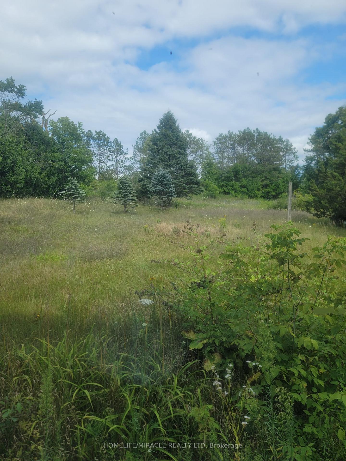 Photo 40 of 287 County Rd 16, Orangeville — HOMEH