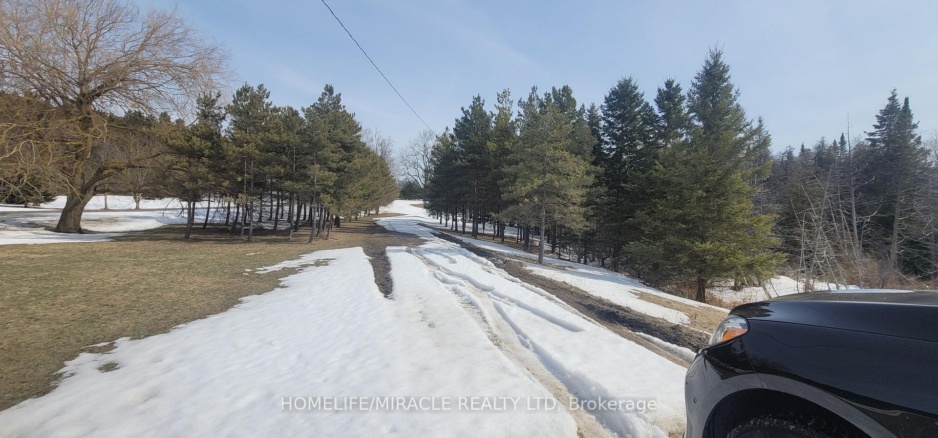 Photo 44 of 287 County Rd 16, Orangeville — HOMEH