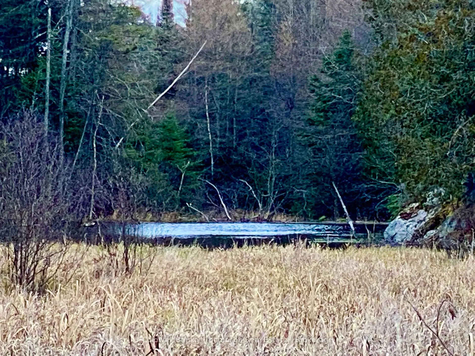 Photo of LOT 0-B Legrou'S Lake Road