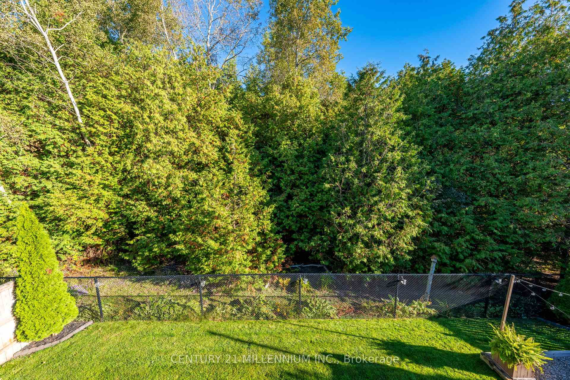 Photo 16 of 171 Elaine Drive, Orangeville — HOMEH