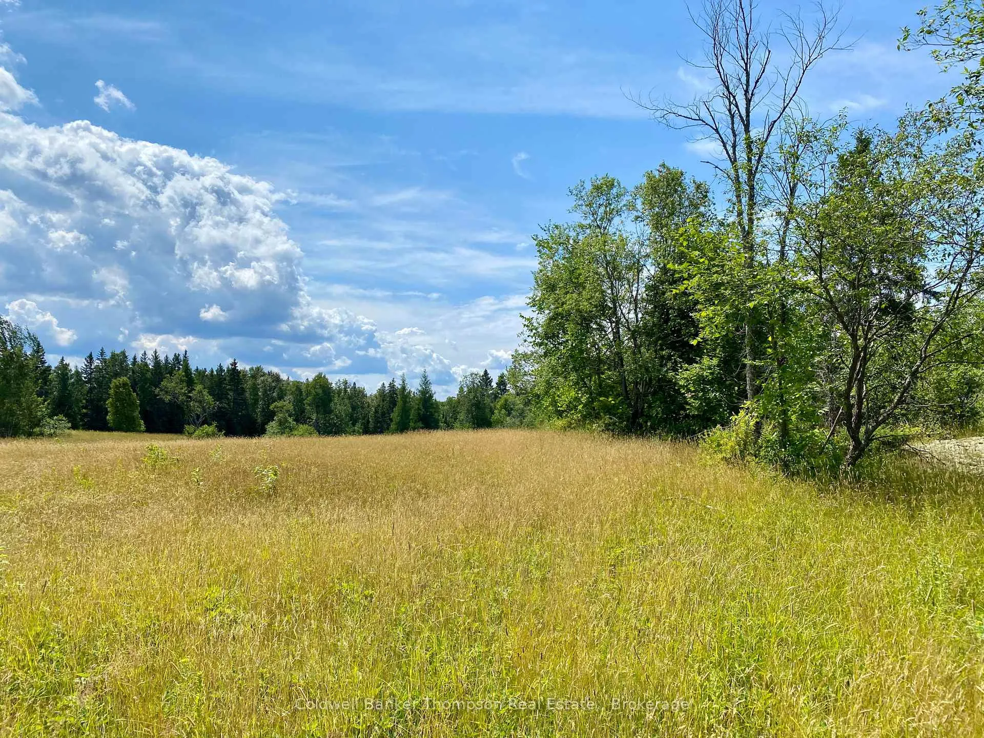 Front of LOT 6-B 522 Highway W