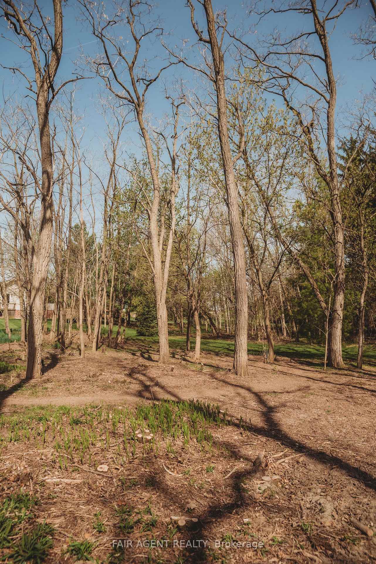 Photo 44 of 12120 Gale Road, North Middlesex, Carlisle — HOMEH