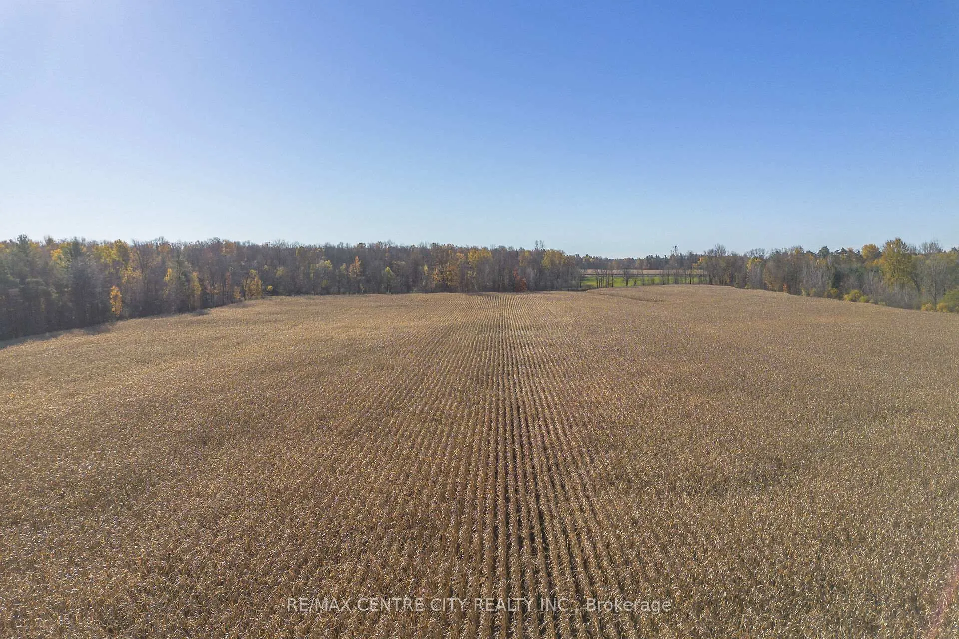 Photo 11 of PT LT 140&141 Col Talbot Road, Norfolk, Rural Houghton — HOMEH