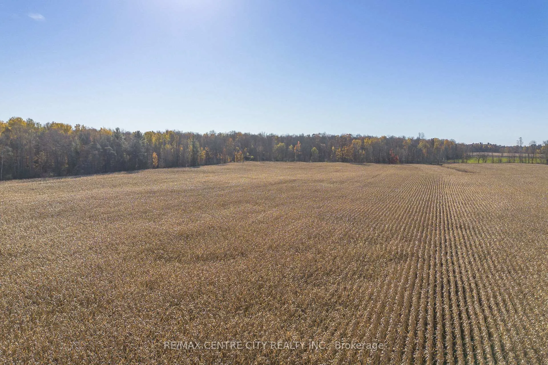 Photo 12 of PT LT 140&141 Col Talbot Road, Norfolk, Rural Houghton — HOMEH