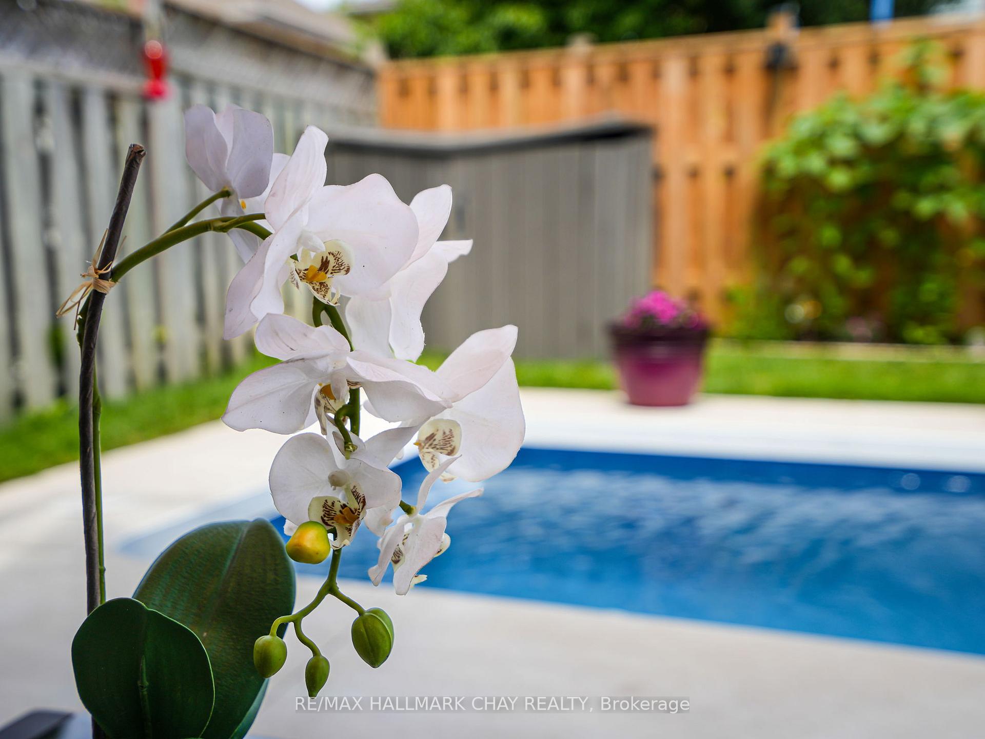 Photo 47 of 108 Henderson Crescent, New Tecumseth, Alliston — HOMEH