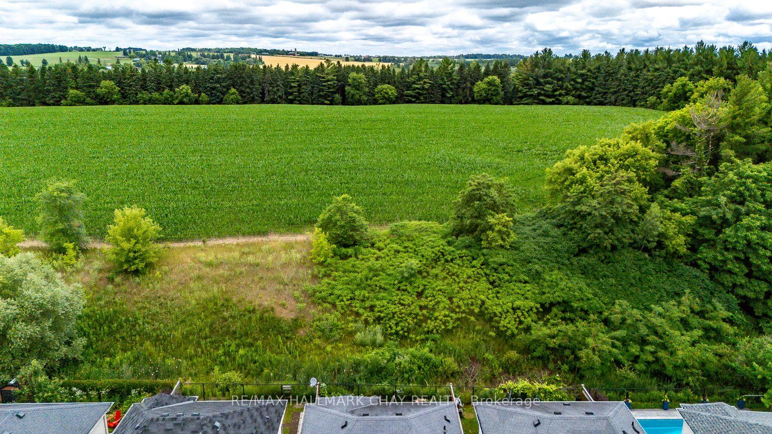 Photo 47 of 38 Steele Street, New Tecumseth, Alliston — HOMEH