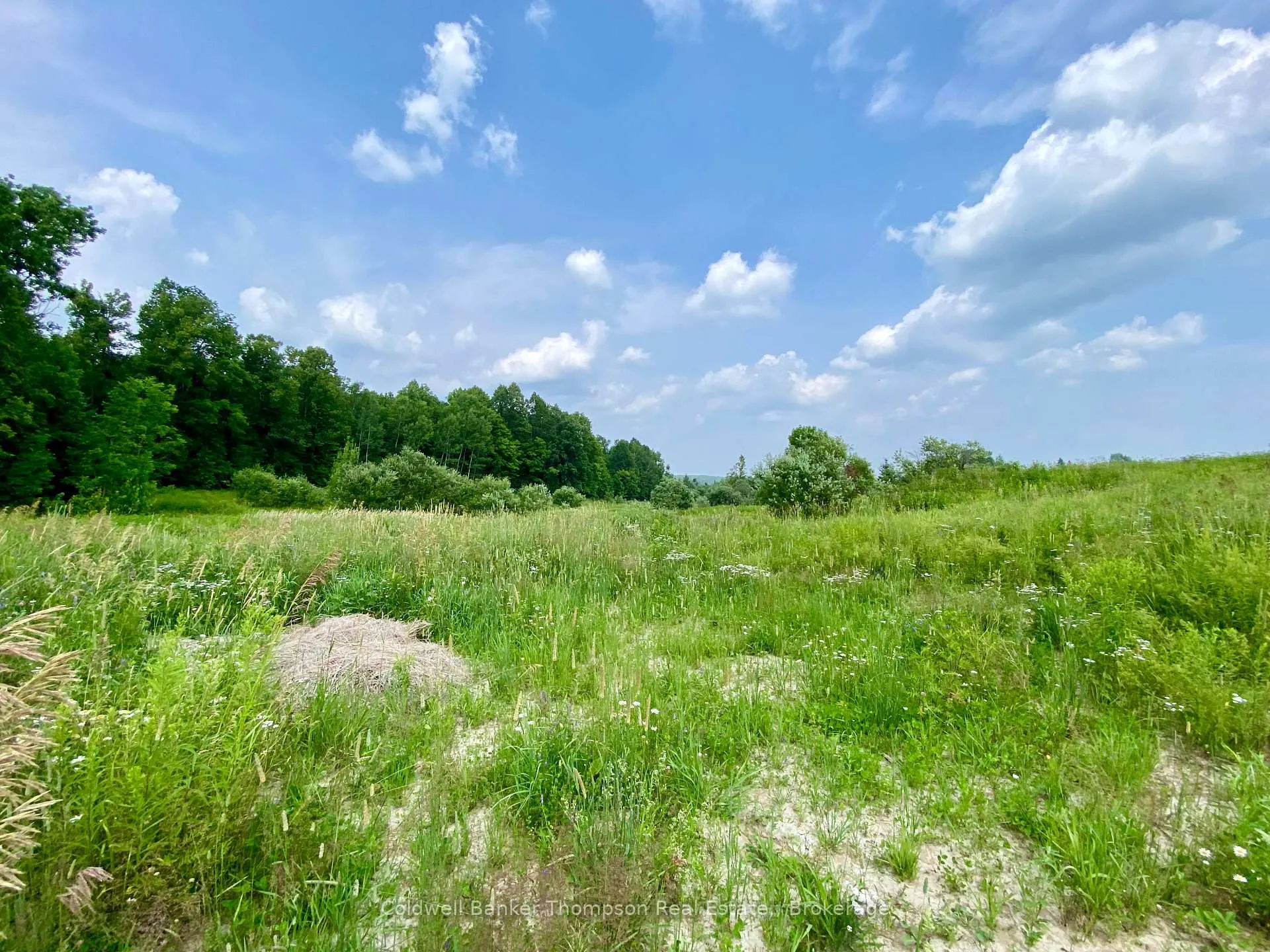 Photo 4 of 28 Hilltop Road S, Parry Sound Remote Area, Arnstein — HOMEH