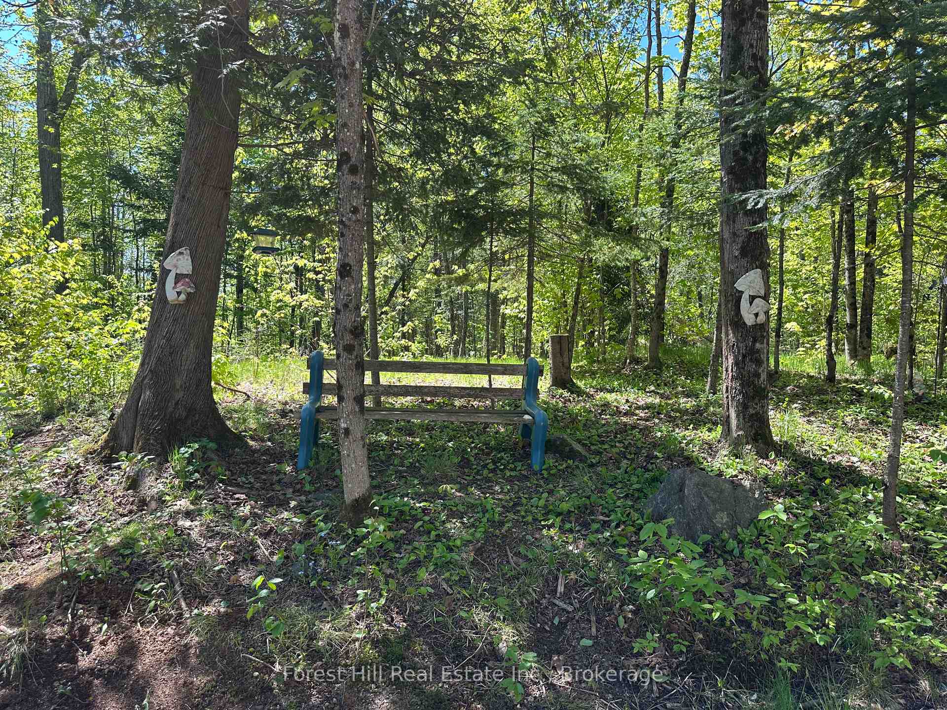 Photo 5 of 55 Hilltop Road, Parry Sound Remote Area, Arnstein — HOMEH
