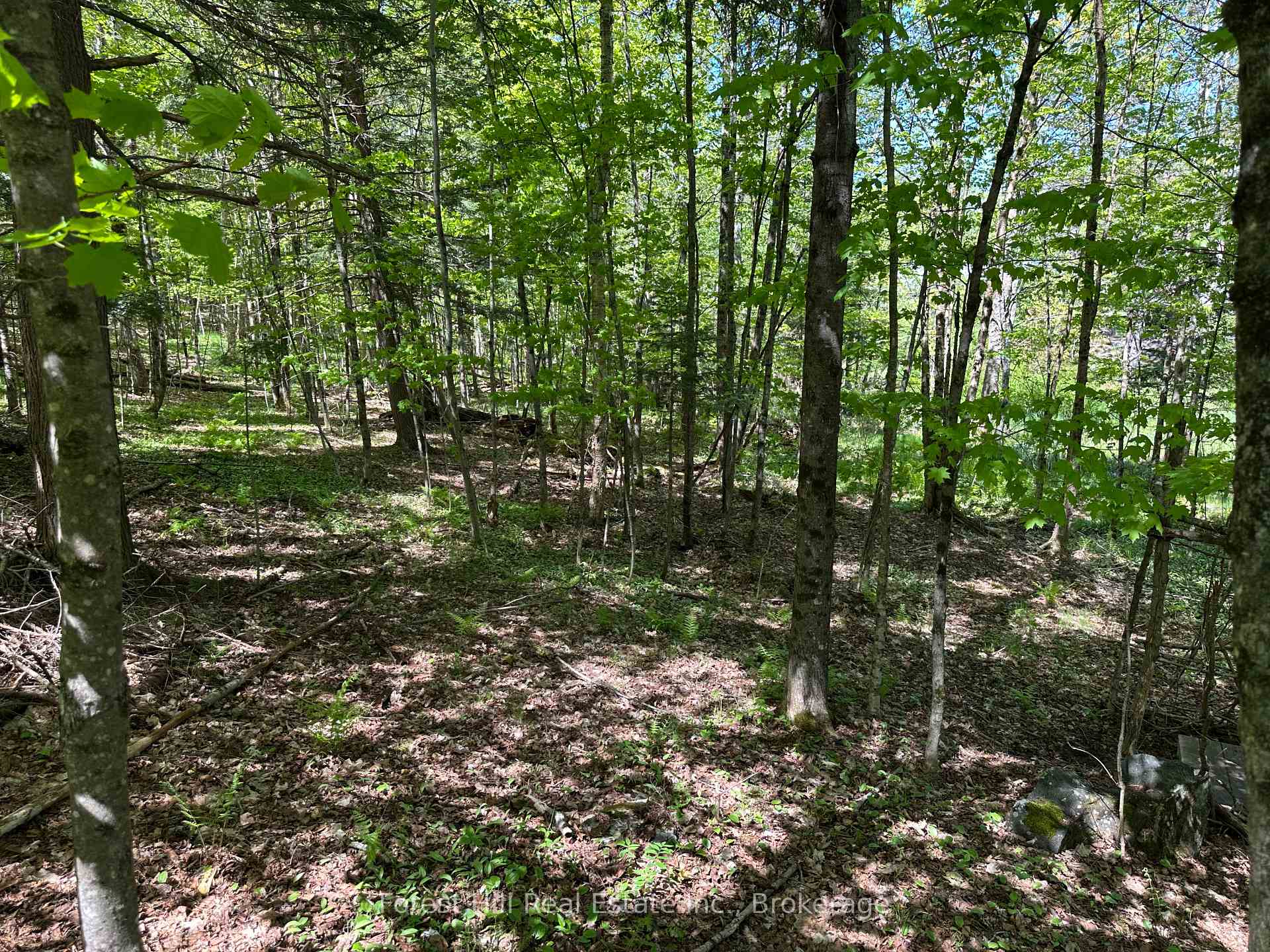 Photo 21 of 55 Hilltop Road, Parry Sound Remote Area, Arnstein — HOMEH