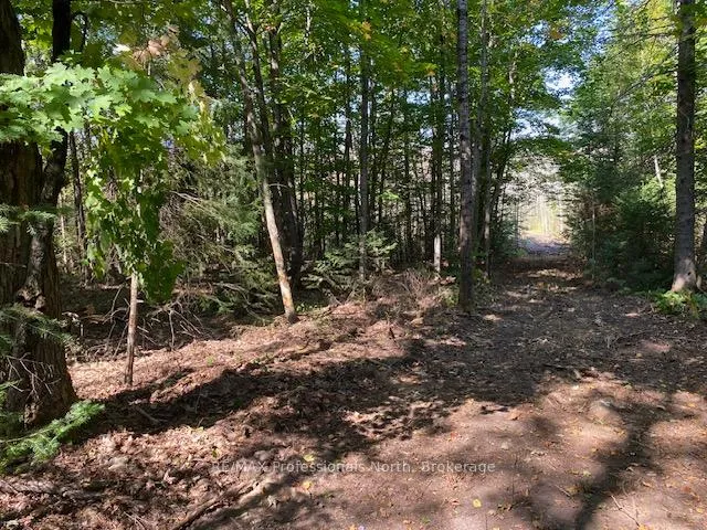 Photo 2 of 14146 522, Parry Sound Remote Area, McConkey — HOMEH