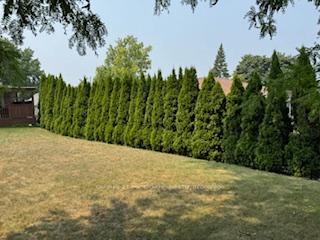 Photo 30 of 5638 Highland Avenue, Niagara Falls, Hospital — HOMEH