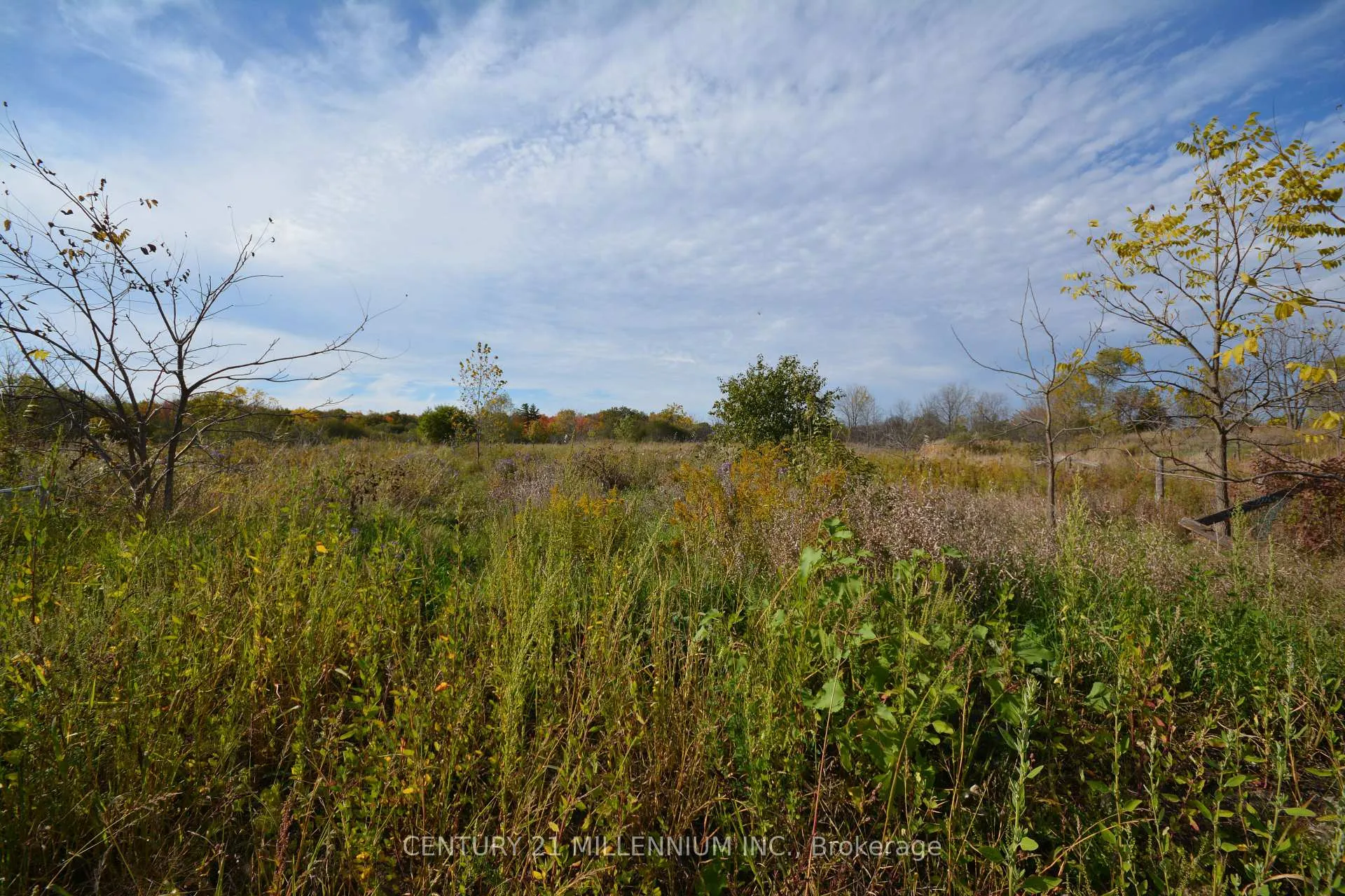 Photo 7 of 4022 Fourth Line, Oakville, Rural Oakville — HOMEH