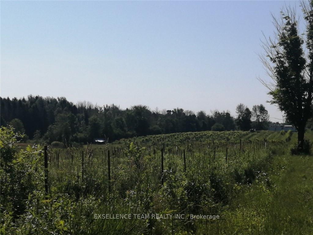 Photo 4 of 19307 Kenyon Concession RD7 Road, North Glengarry, North Glengarry (Kenyon) Twp — HOMEH