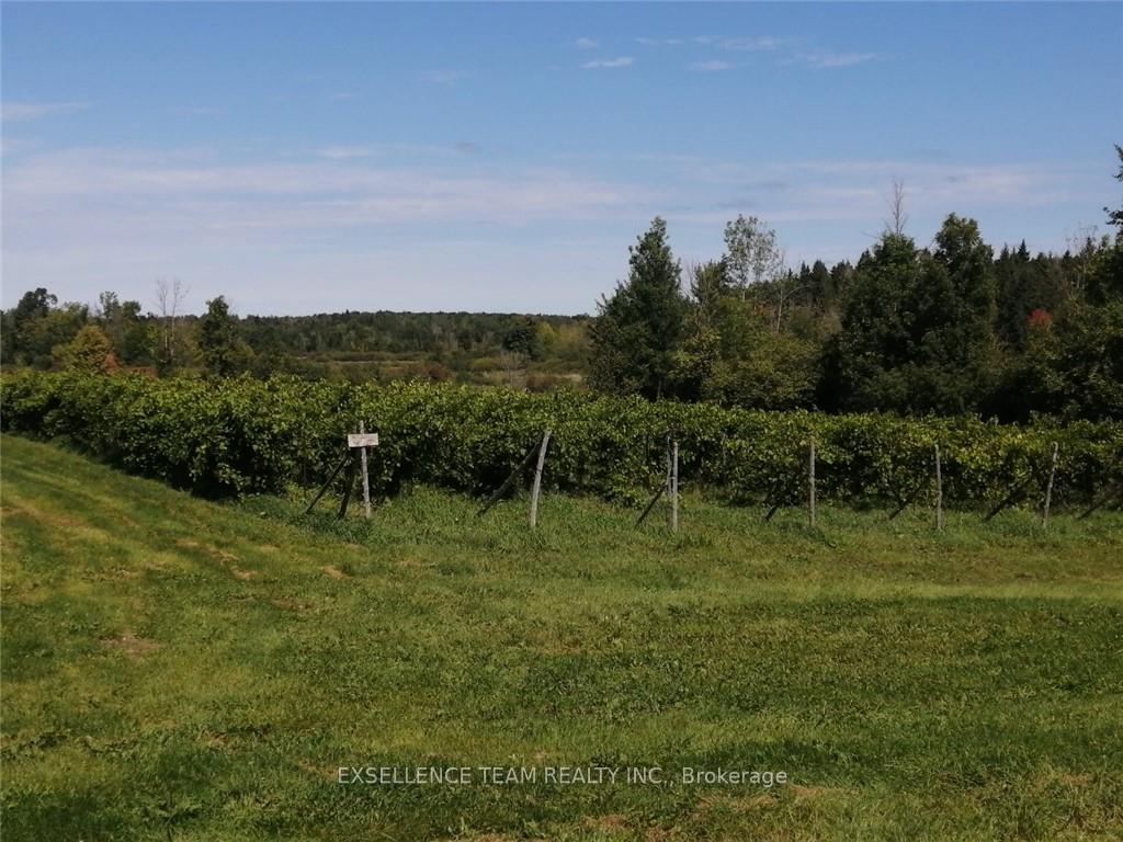 Photo 5 of 19307 Kenyon Concession RD7 Road, North Glengarry, North Glengarry (Kenyon) Twp — HOMEH