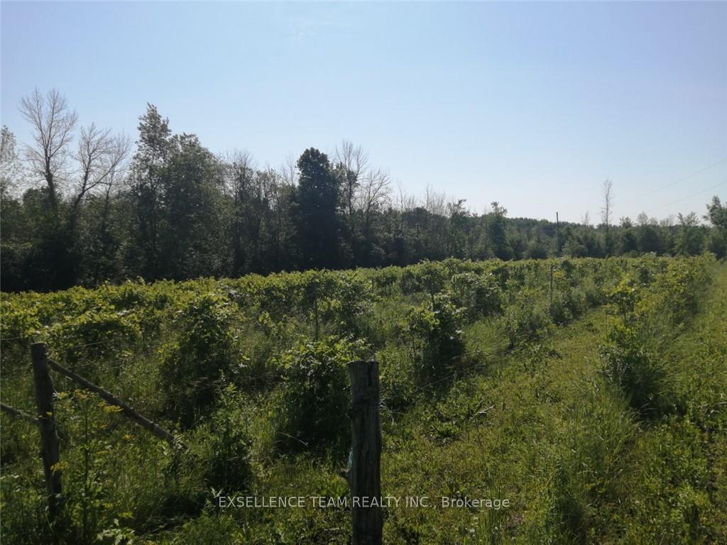 Photo 6 of 19307 Kenyon Concession RD7 Road, North Glengarry, North Glengarry (Kenyon) Twp — HOMEH