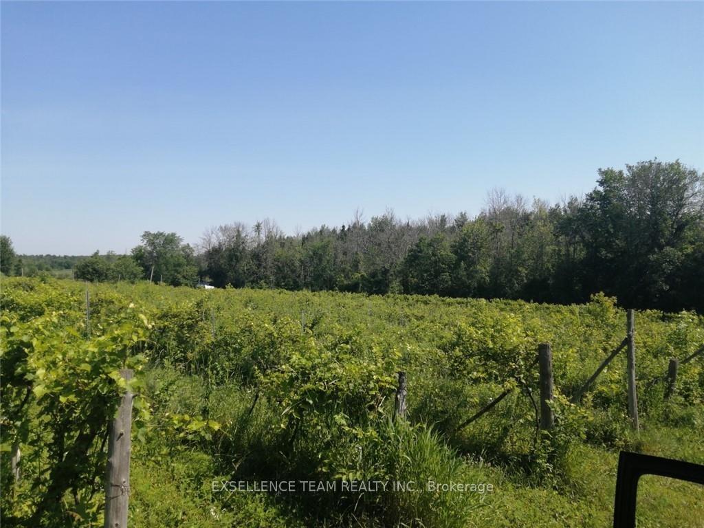 Photo 9 of 19307 Kenyon Concession RD7 Road, North Glengarry, North Glengarry (Kenyon) Twp — HOMEH