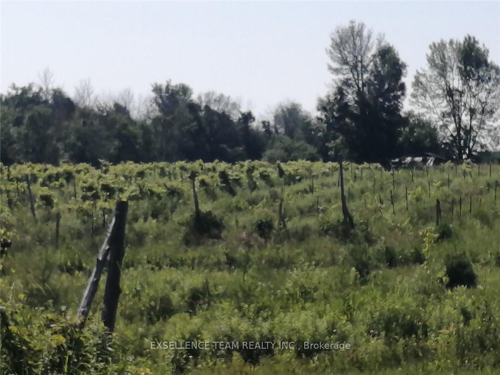 Photo 11 of 19307 Kenyon Concession RD7 Road, North Glengarry, North Glengarry (Kenyon) Twp — HOMEH