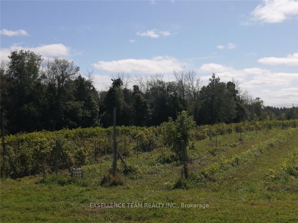 Photo 12 of 19307 Kenyon Concession RD7 Road, North Glengarry, North Glengarry (Kenyon) Twp — HOMEH