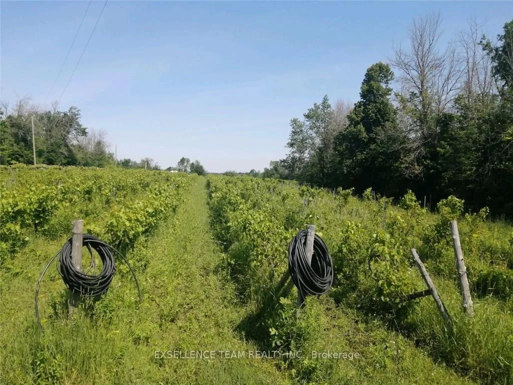Photo 14 of 19307 Kenyon Concession RD7 Road, North Glengarry, North Glengarry (Kenyon) Twp — HOMEH