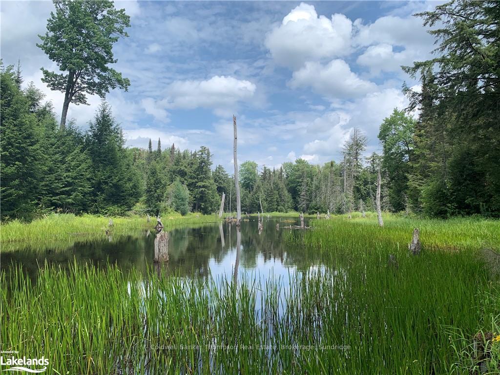 Photo 3 of LT15 C2 River Road, Parry Sound Remote Area, Laurier — HOMEH