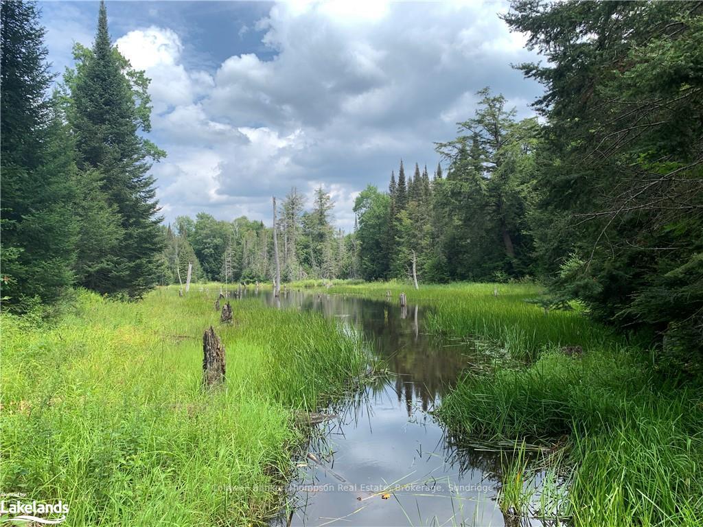 Photo 34 of LT15 C2 River Road, Parry Sound Remote Area, Laurier — HOMEH