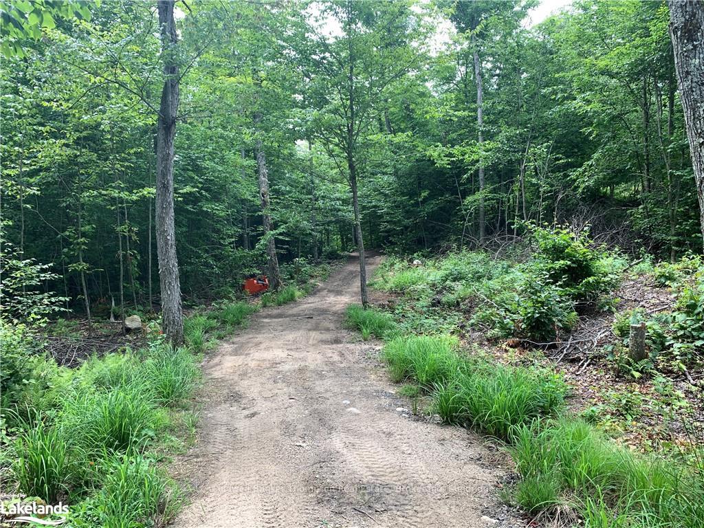 Photo 35 of LT15 C2 River Road, Parry Sound Remote Area, Laurier — HOMEH