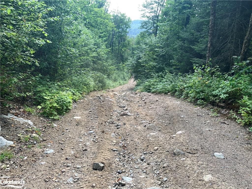 Photo 37 of LT15 C2 River Road, Parry Sound Remote Area, Laurier — HOMEH