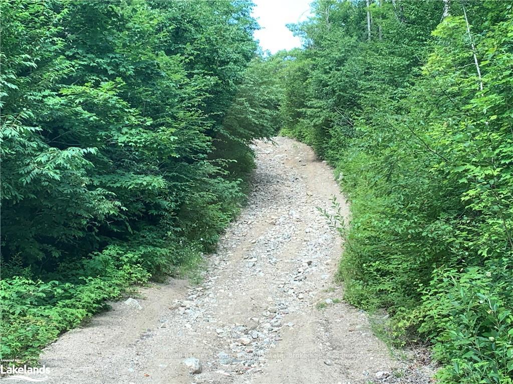 Photo 38 of LT15 C2 River Road, Parry Sound Remote Area, Laurier — HOMEH